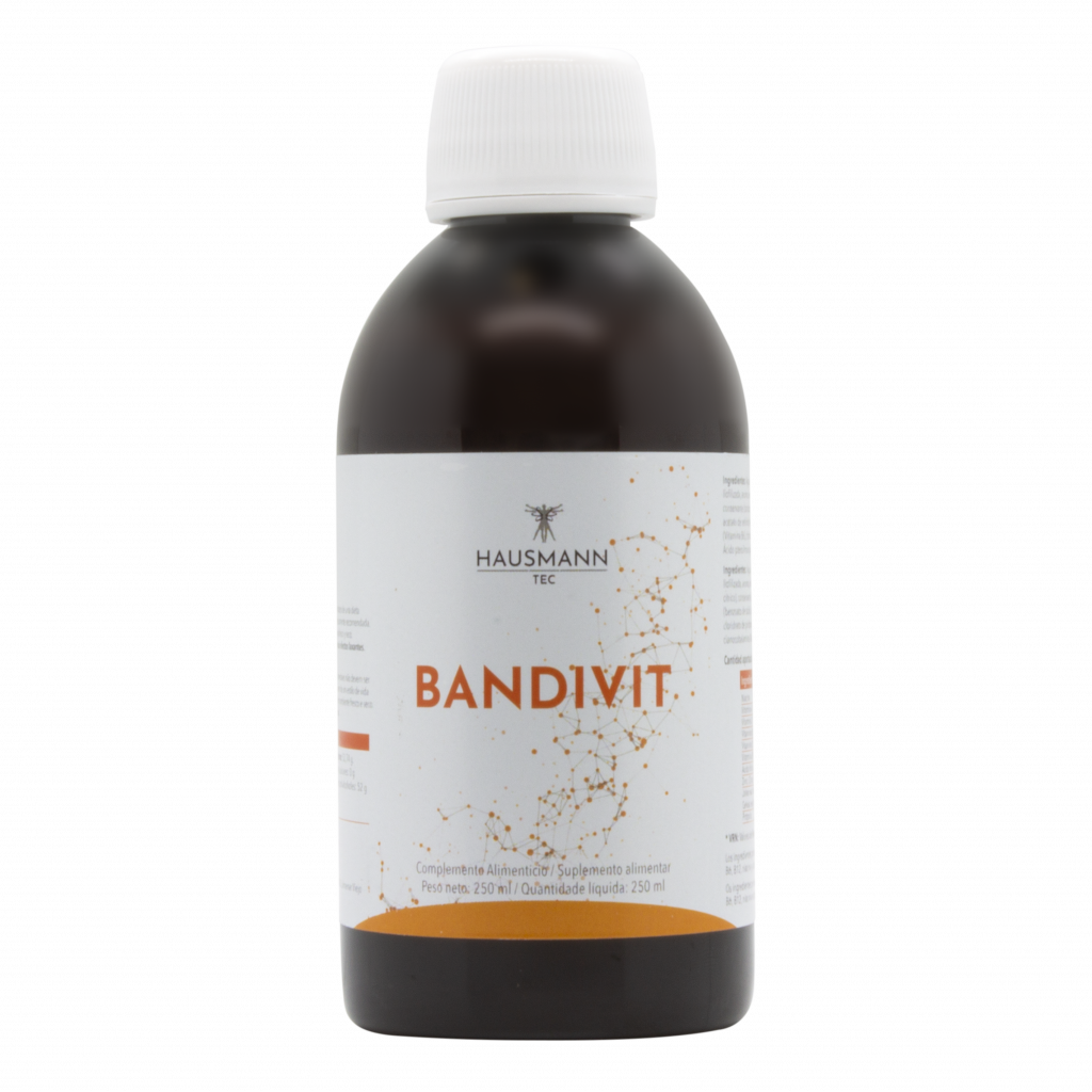 BANDIVIT JARABE 250 ML HAUSMANN