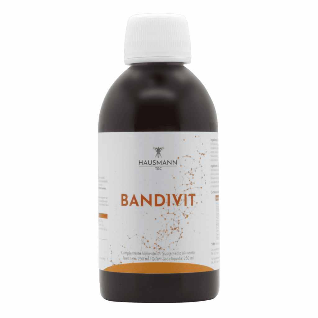 BANDIVIT JARABE 250 ML HAUSMANN