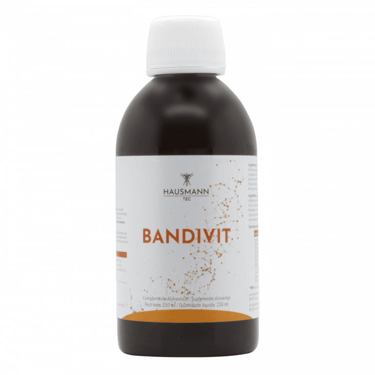 BANDIVIT JARABE 250 ML HAUSMANN